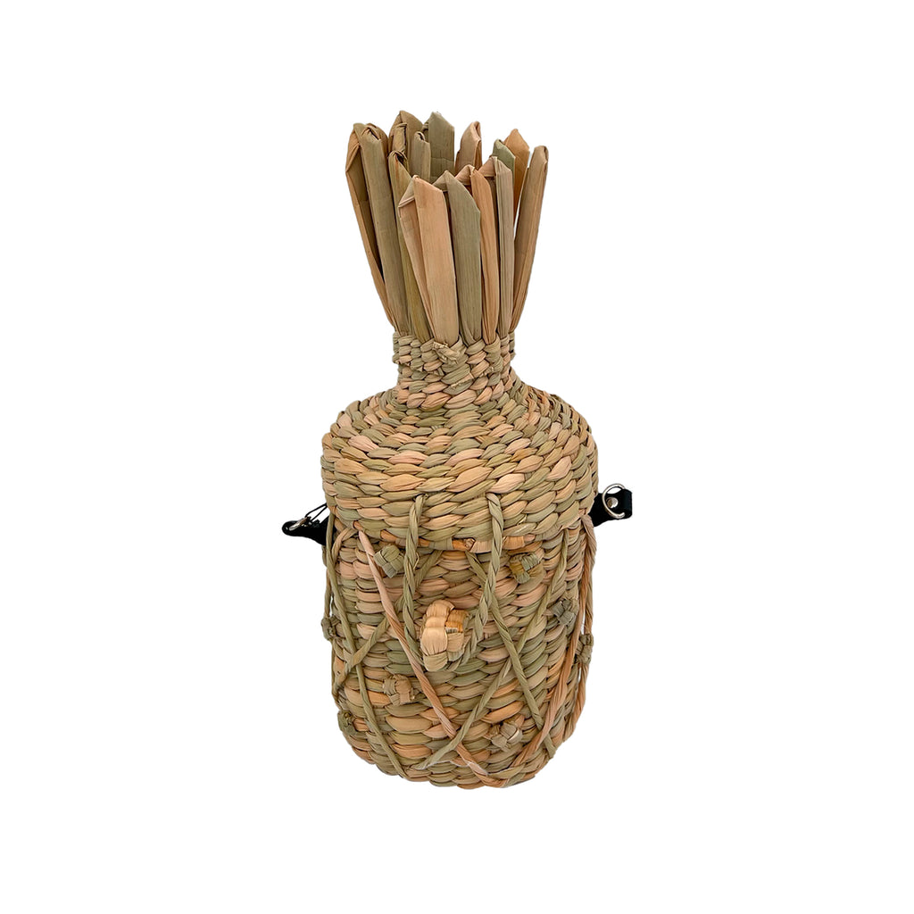 PINEAPPLE BAG